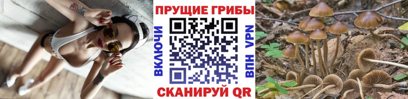 Галлюциногенные грибы Cubensis  Воскресенск 
